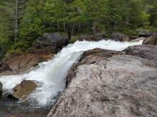 Large Niagara Maine (40 ft tall) pretty